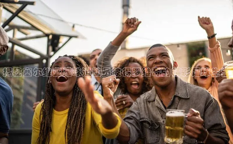 球盟会手机网页版百度数据开放平台揭秘塞尔维亚足球运动员彼得罗维奇的精彩足球生涯