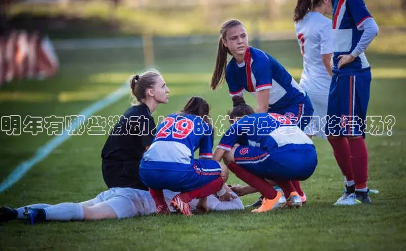球盟会官方网页登录小红书明年有哪些激动人心的体育盛事即将登场？