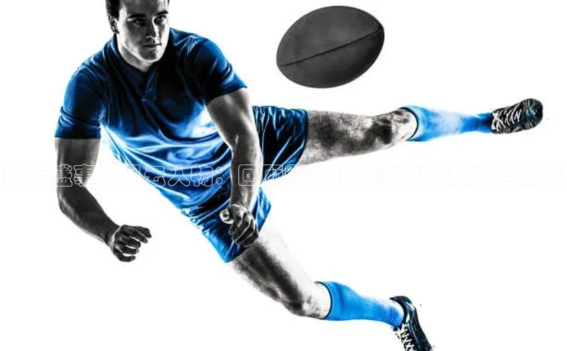 网坛盛事与风云人物：回顾网球顶尖赛事与杰出运动员