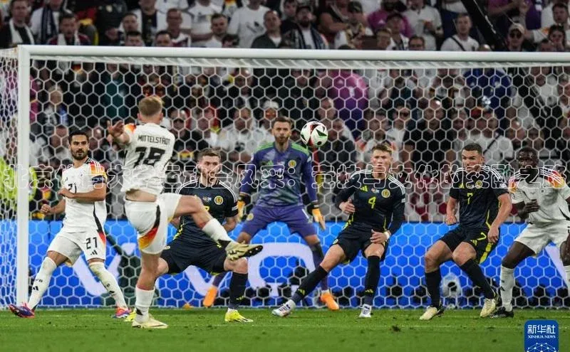 北京体育大学运动会风采：竞技与文化的交融之路