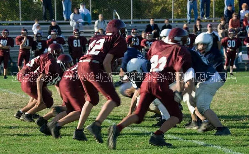 动感魅力：2023年度青岛运动会盛况回顾与展望