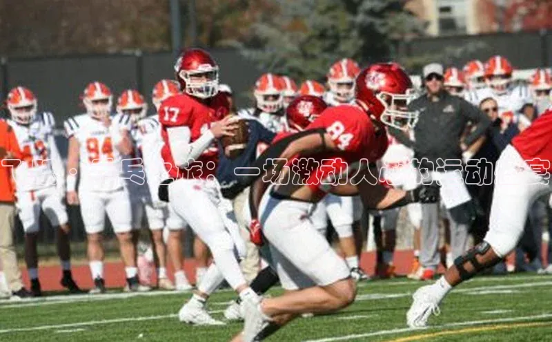 飞跃·乒乓之旅：一场激动人心的运动盛宴