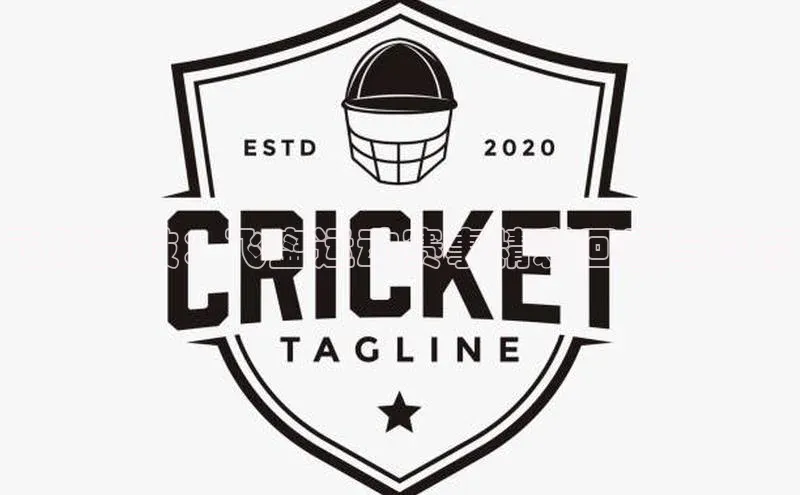 飞跃竞技：飞盘运动赛事精彩回顾与亮点