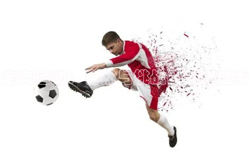 定向运动：自然与挑战的国际盛事