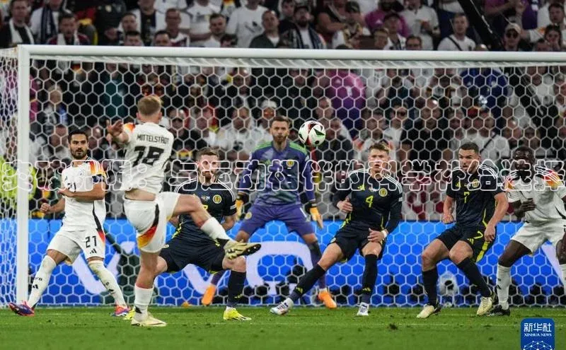 突破界限：与运动相伴的科学补给选择