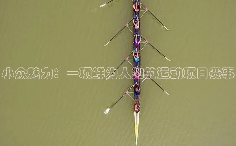 小众魅力：一项鲜为人知的运动项目赛事