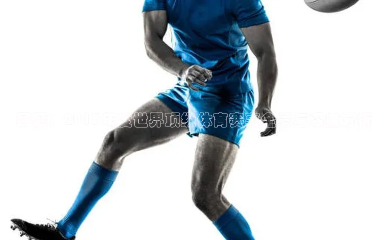 回顾：2017年度世界顶级体育赛事全景与深度分析