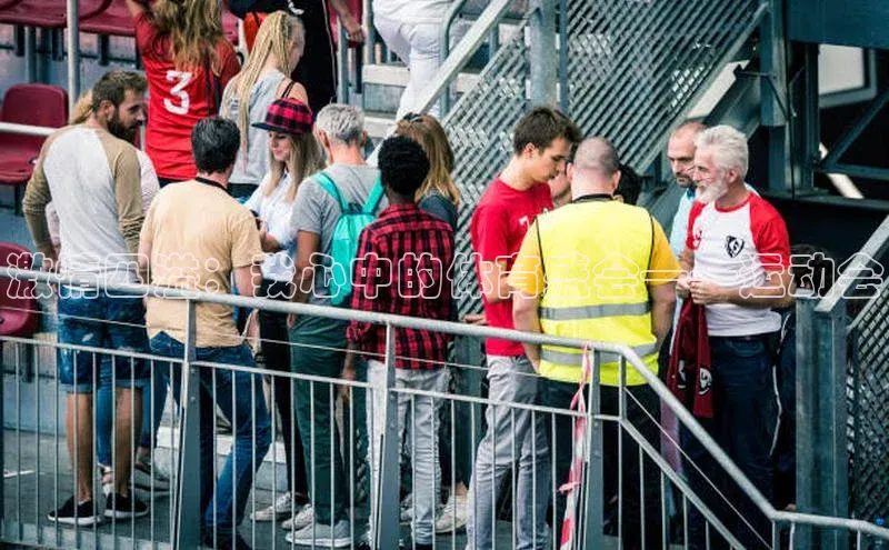 激情四溢：我心中的体育盛会——运动会