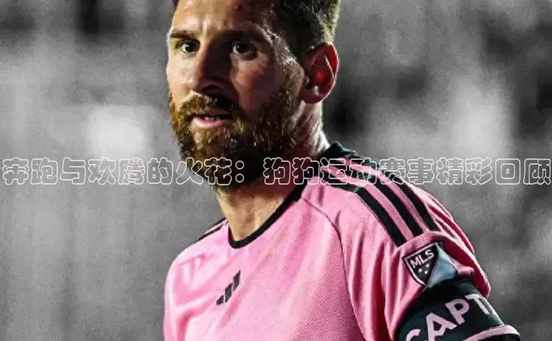 奔跑与欢腾的火花：狗狗运动赛事精彩回顾