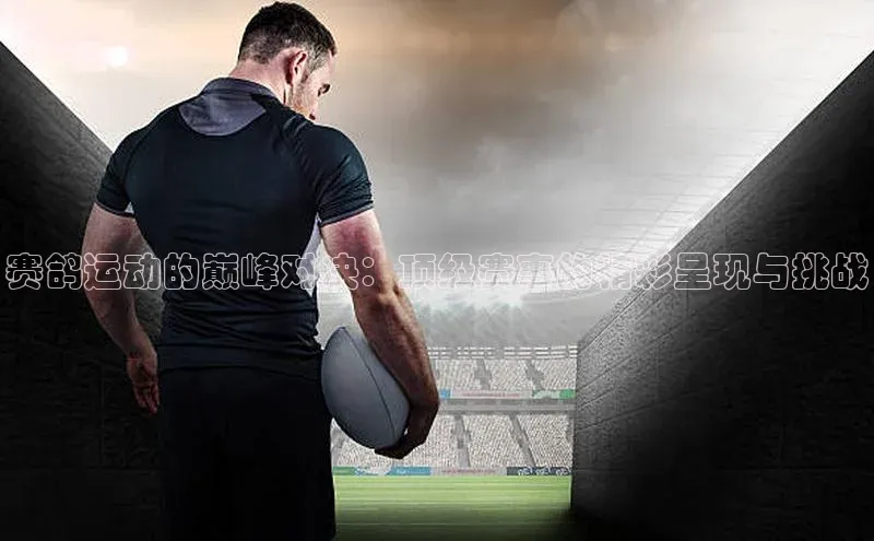 赛鸽运动的巅峰对决：顶级赛事的精彩呈现与挑战