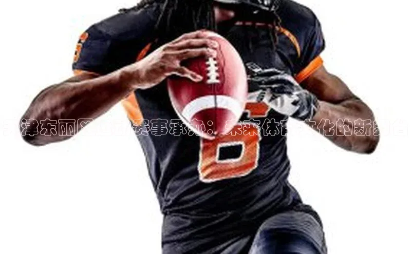 天津东丽区运动赛事承办：未来体育文化的新舞台