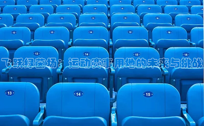 飞跃绿茵场：运动赛事用地的未来与挑战