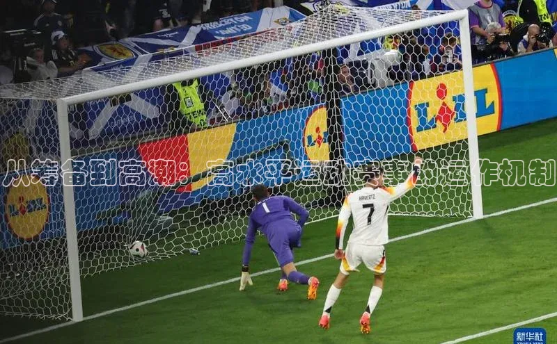 从筹备到高潮：高水平运动赛事的运作机制