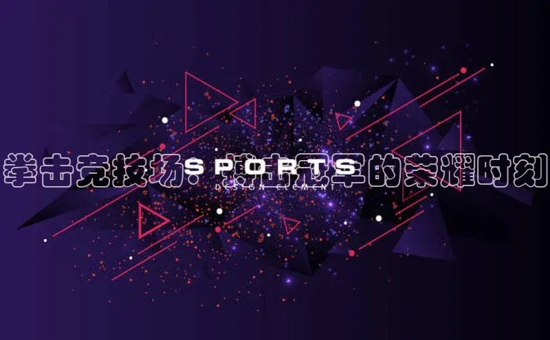 拳击竞技场：搏击冠军的荣耀时刻