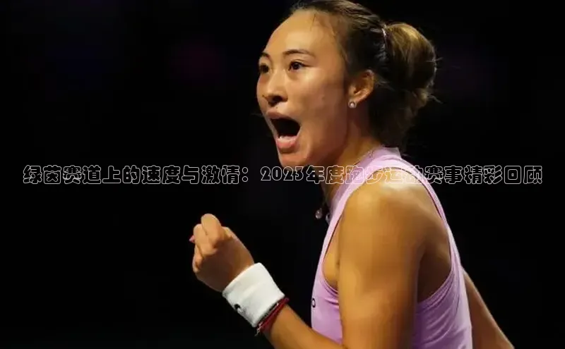 绿茵赛道上的速度与激情：2023年度跑步运动赛事精彩回顾