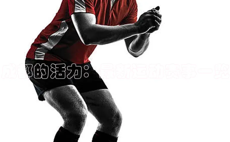 球盟会登录入口网页版
